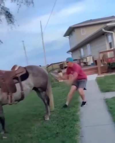 hOrsE SeNdS mAN To tHe mOOn