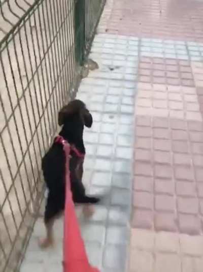 Really really really glad to see you