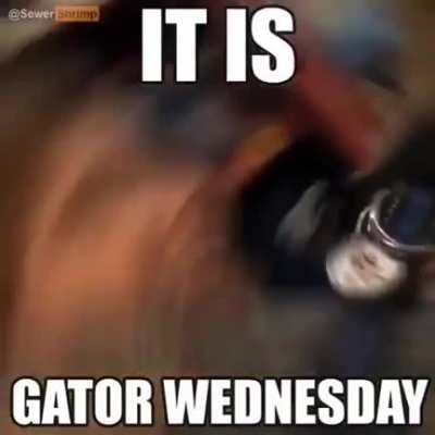 wetness day