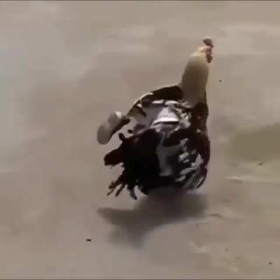 Yes.