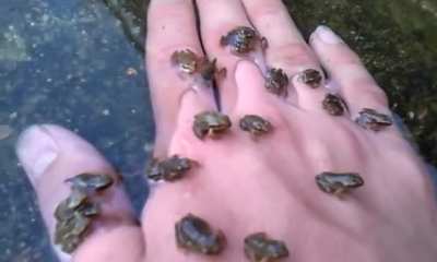 making lots of friends!