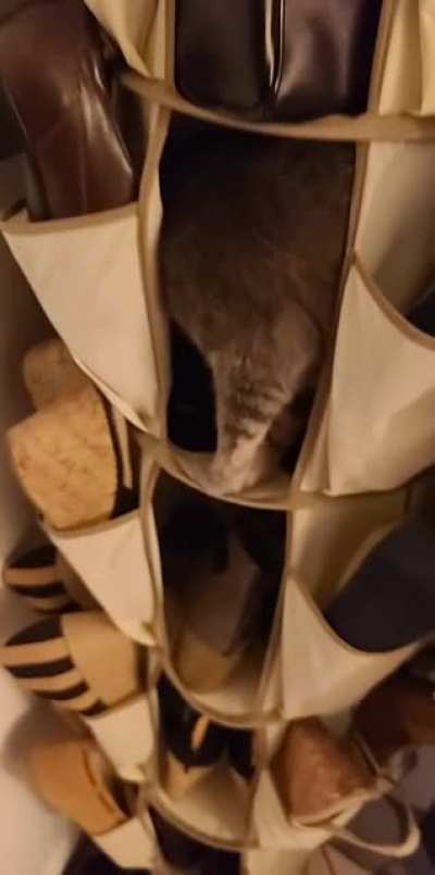 New hideout