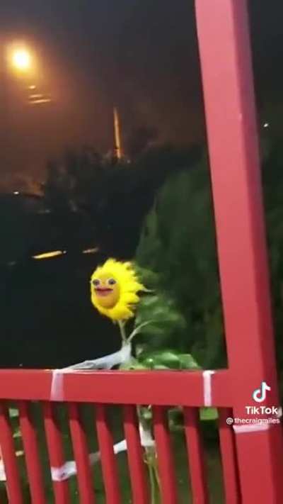Growing in the name of