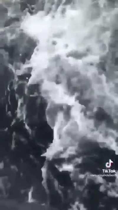 This guy jumped on a whale to cut a rope that was around her body. True hero