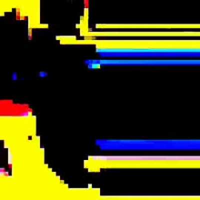 I nuked this pigeon