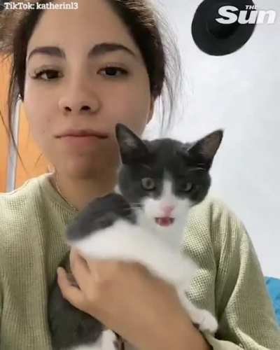 Напугала котяню