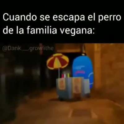 Momento XD