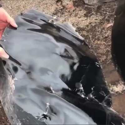 Obsidian looks cool