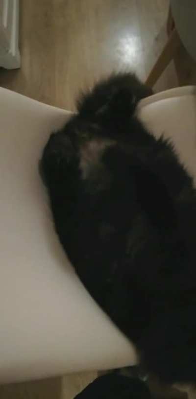 Viggo, you took my spot!