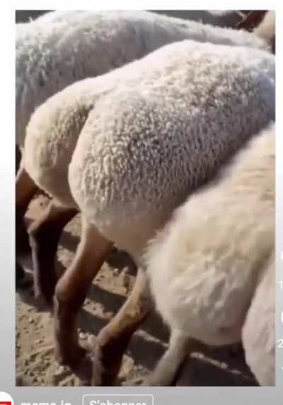 Hhhmmmm????