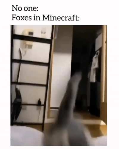 I don't know who i am,all i know is i must jump