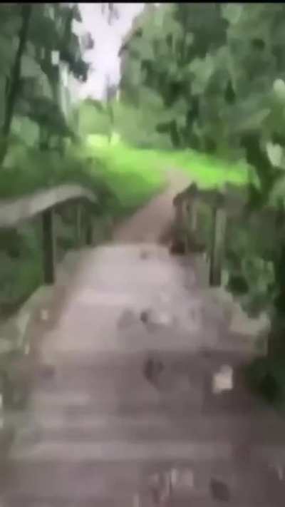 😈