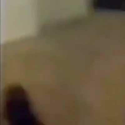 look at that backflip bro