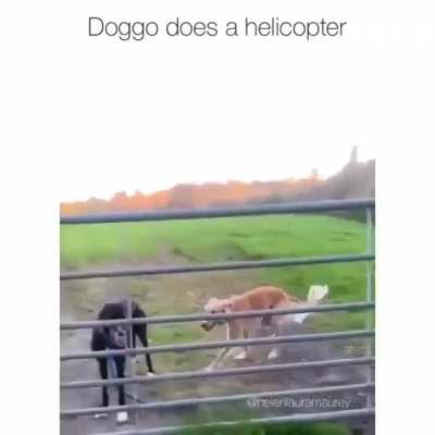 Perfect round wiggle doesn’t exis