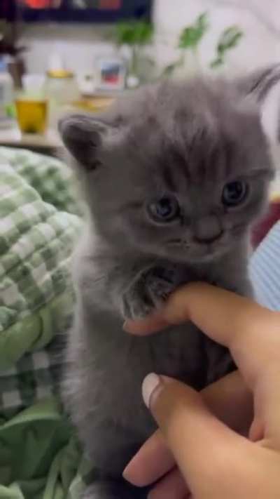 Cute😍