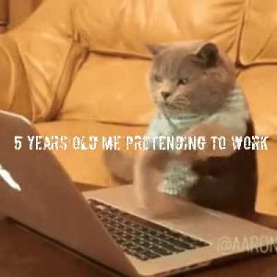 Don't bother me, iam working
