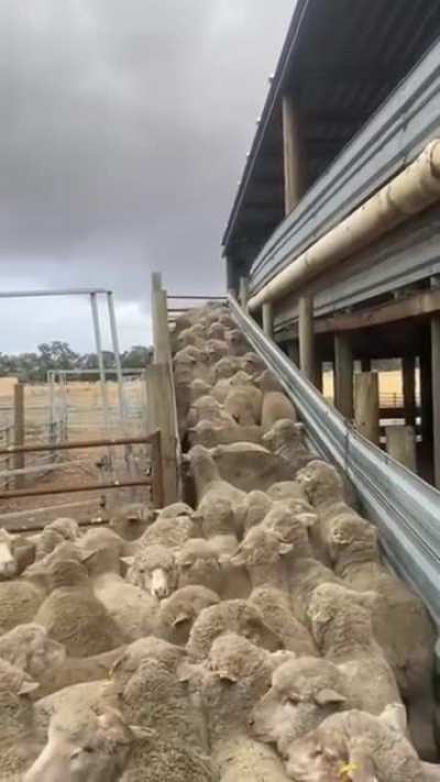 When you send a senior to debug queues..