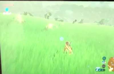 That’s Not A Horse