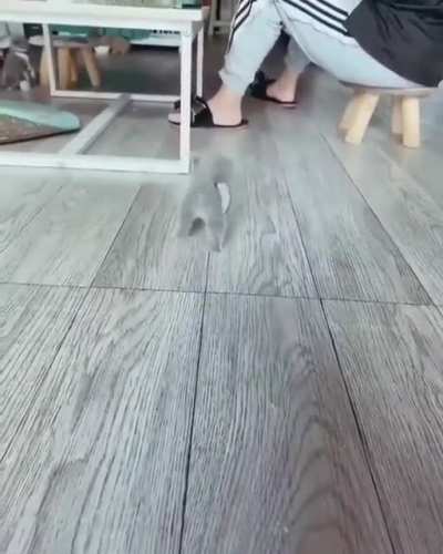 Make your mark at every step