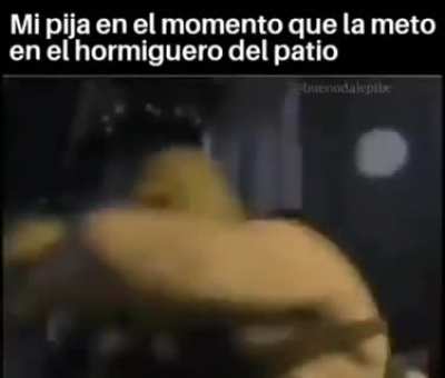 típico