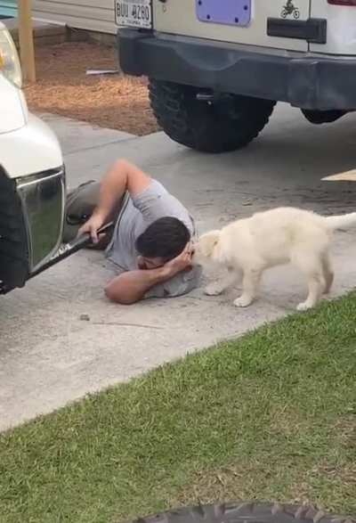 No work, only play!