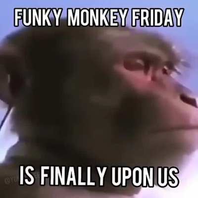 Funky monke Friday is here.... Time for monkes to relax.... 🐵🐵