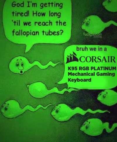 bruh