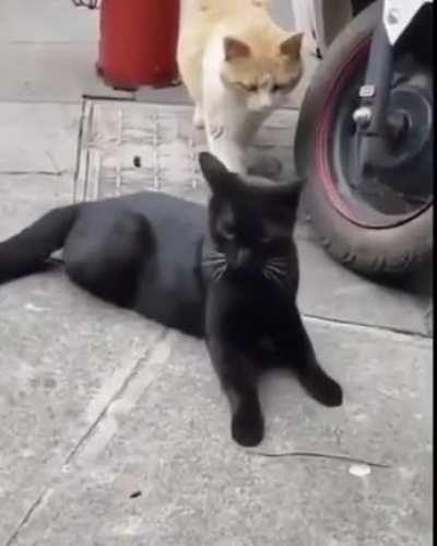 Maybe Maybe Maybe
