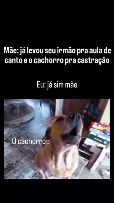 Sim