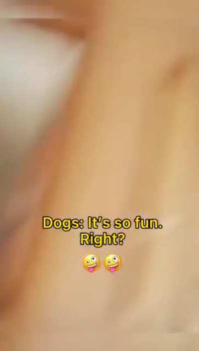 🤣🤣🤣