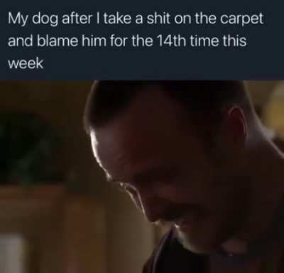 Normal meme