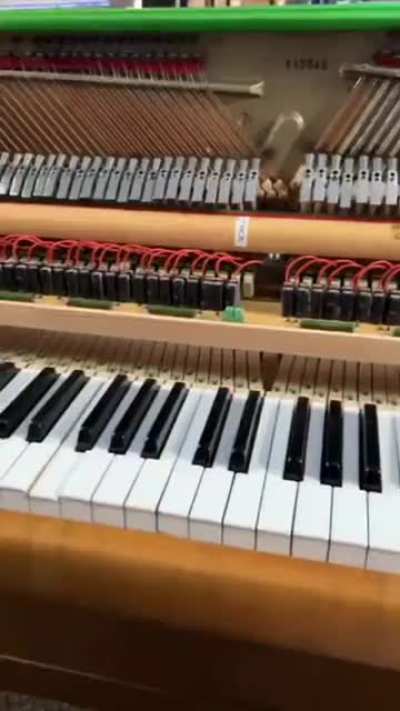 Electric Piano from Wish