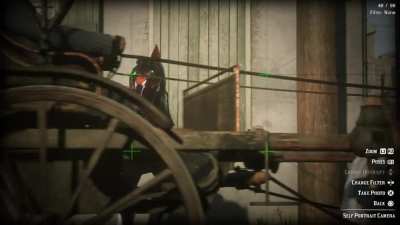 This is the game telling me that only my horse deserves to be in the picture