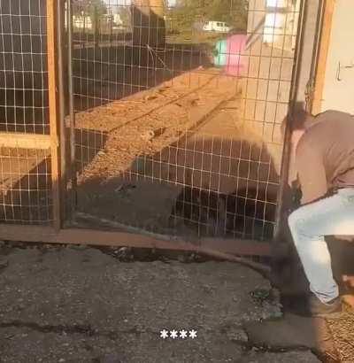 He tried so hard