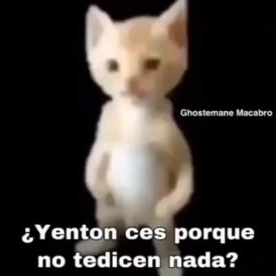 HERMANO MOMENTO