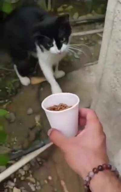 Now get me some Real SNACKS before I 
