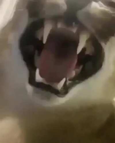 Rule