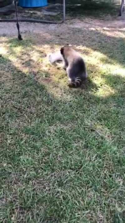 Friends having fun