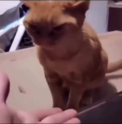 So intelligent!