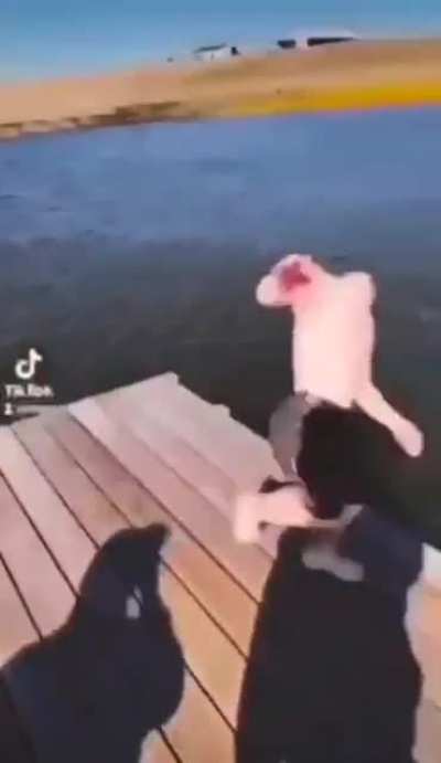 dinner