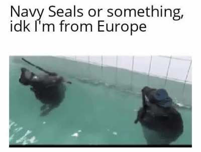 They do be looking dangerous tho