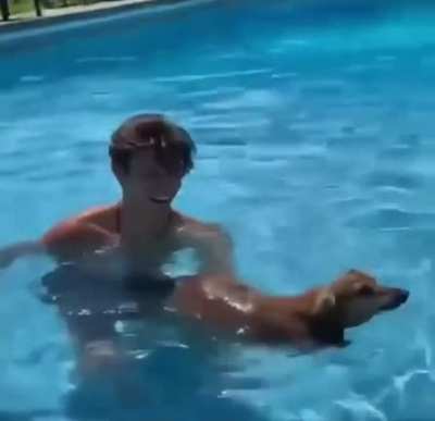 That dog swims better than me