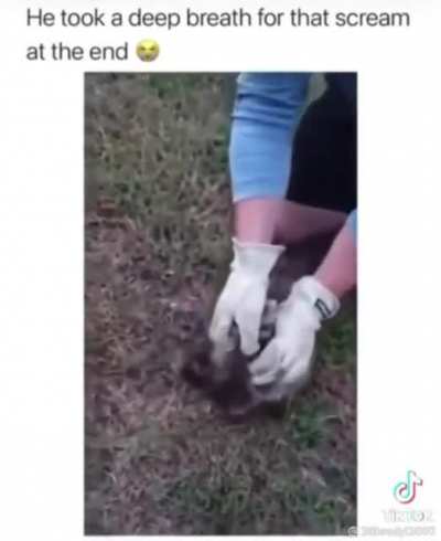 I hate tik tok but….