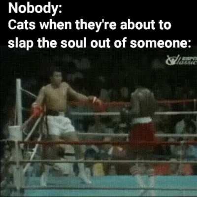 Get ready to rumbleeee