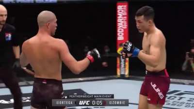 Madness in the octagon.