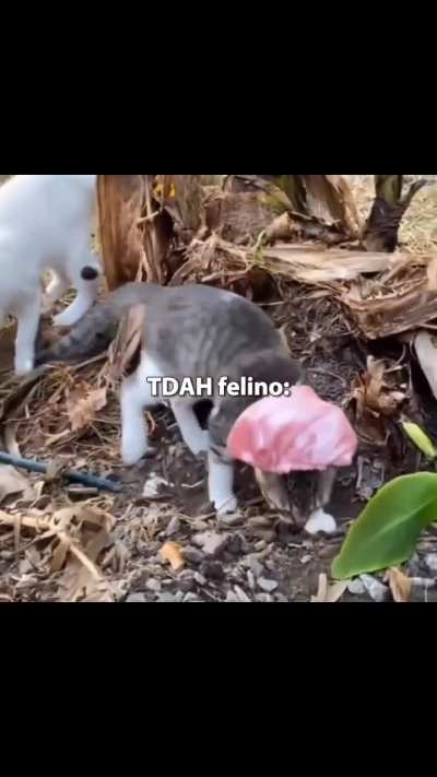 Eu