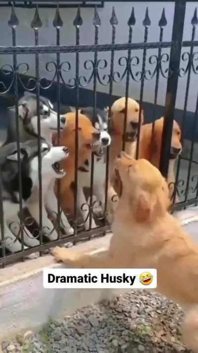 that wasn’t the brightest idea 😭