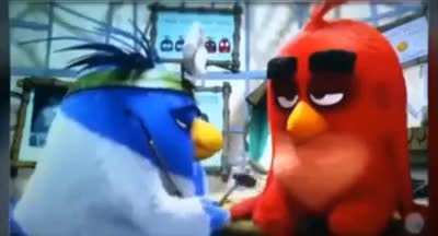 Holesome anger bird 
