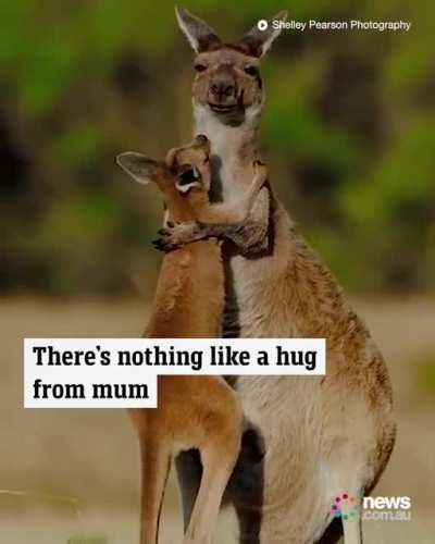moms hug 🤗