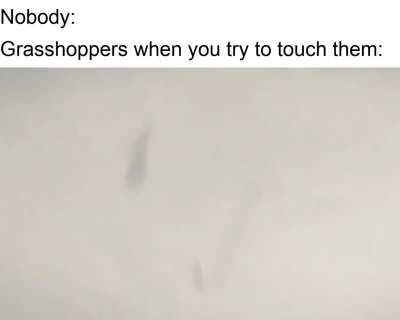 Grasshoppers be like